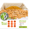 lentil pasta elbow